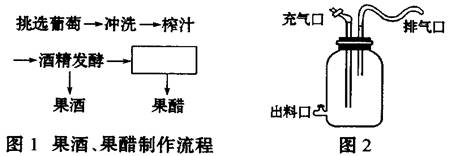 (14分)下面是果酒和果醋制作的实验流程和某同学设计的果酒和果醋的