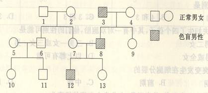 (6分)下图是某家族三代红绿色盲的遗传系谱,根据图分析回答